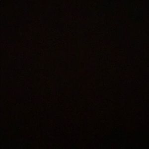 Meet your Posher, Manshi